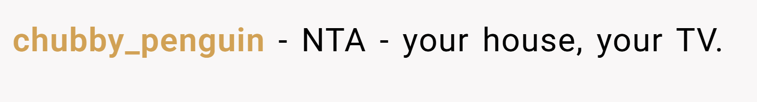 chubby_penguin − NTA - your house, your TV.