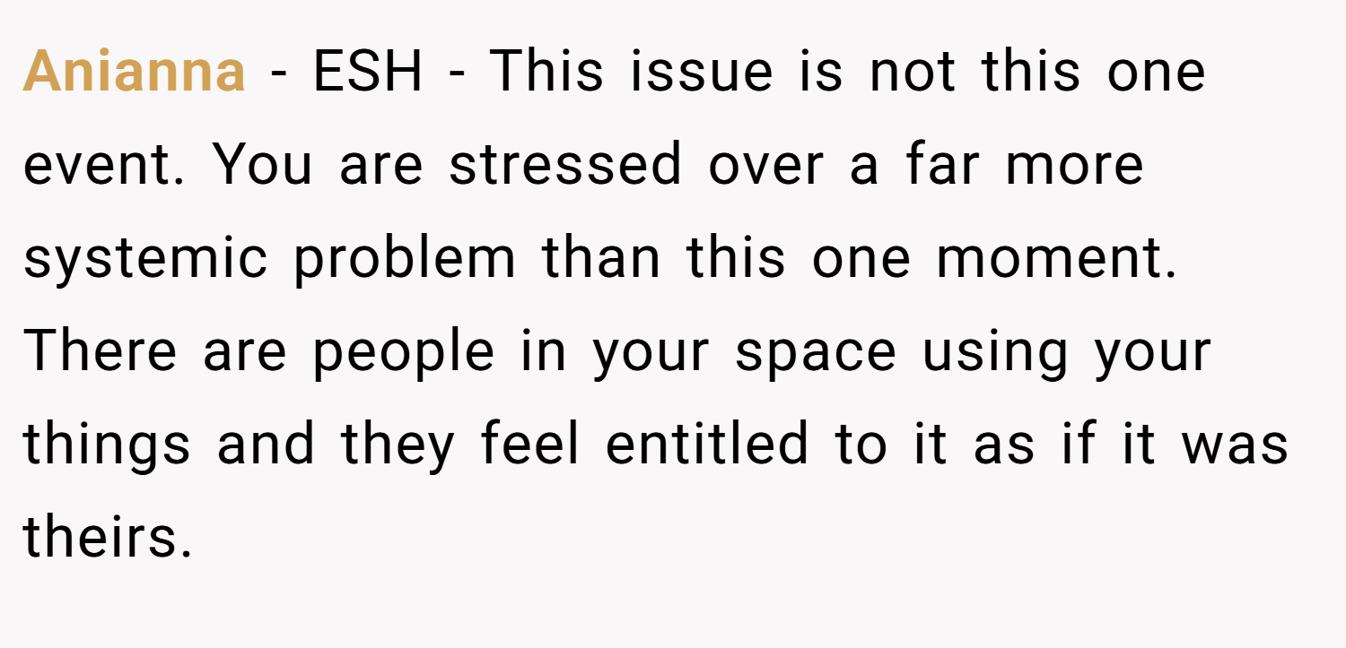 Anianna − ESH - This issue is not this one event. You are stressed over a far more systemic problem than this one moment. There are people in your space using your things and they feel entitled to it as if it was theirs.
