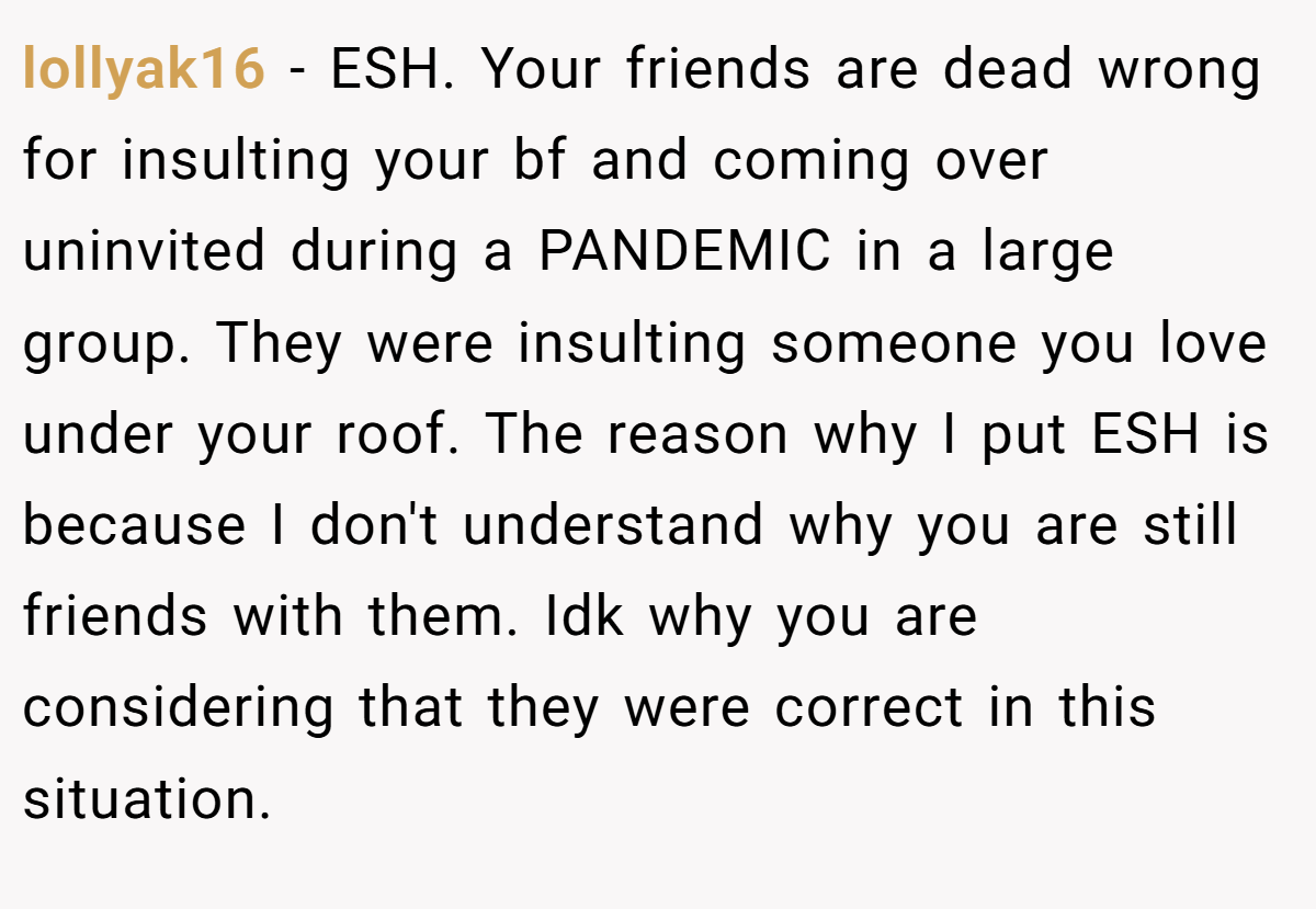lollyak16 - ESH. Your friends are dead wrong for insulting your bf and coming over uninvited during a PANDEMIC in a large group. They were insulting someone you love under your roof. The reason why I put ESH is because I don't understand why you are still friends with them. Idk why you are considering that they were correct in this situation.