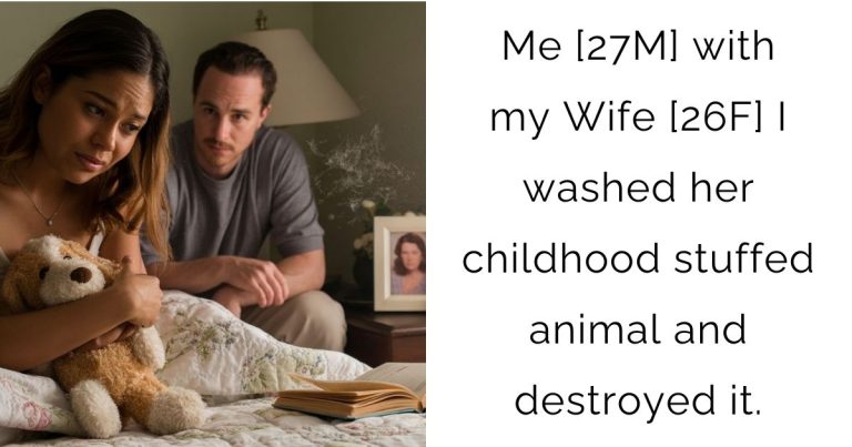 Me [27M] with my Wife [26F] I washed her childhood stuffed animal and destroyed it.