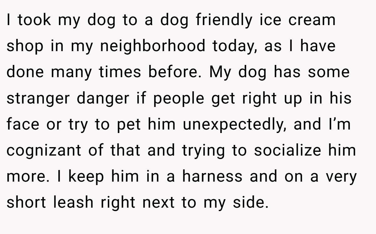I took my dog to a dog friendly ice cream shop in my neighborhood today, as I have done many times before. My dog has some stranger danger if people get right up in his face or try to pet him unexpectedly, and I’m cognizant of that and trying to socialize him more. I keep him in a harness and on a very short leash right next to my side.