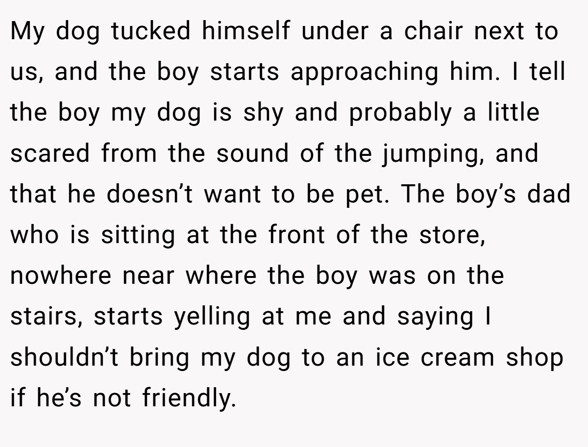 My dog tucked himself under a chair next to us, and the boy starts approaching him. I tell the boy my dog is shy and probably a little scared from the sound of the jumping, and that he doesn’t want to be pet. The boy’s dad who is sitting at the front of the store, nowhere near where the boy was on the stairs, starts yelling at me and saying I shouldn’t bring my dog to an ice cream shop if he’s not friendly.