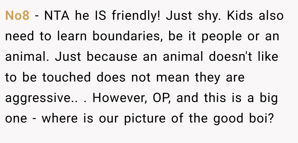 No8 - NTA he IS friendly! Just shy. Kids also need to learn boundaries, be it people or an animal. Just because an animal doesn't like to be touched does not mean they are aggressive.. ​. However, OP, and this is a big one - where is our picture of the good boi?