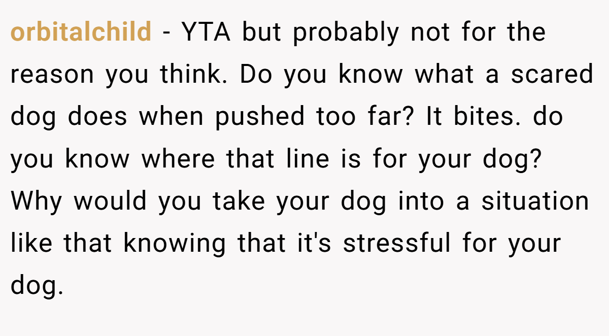 orbitalchild - YTA but probably not for the reason you think. Do you know what a scared dog does when pushed too far? It bites. do you know where that line is for your dog? Why would you take your dog into a situation like that knowing that it's stressful for your dog.