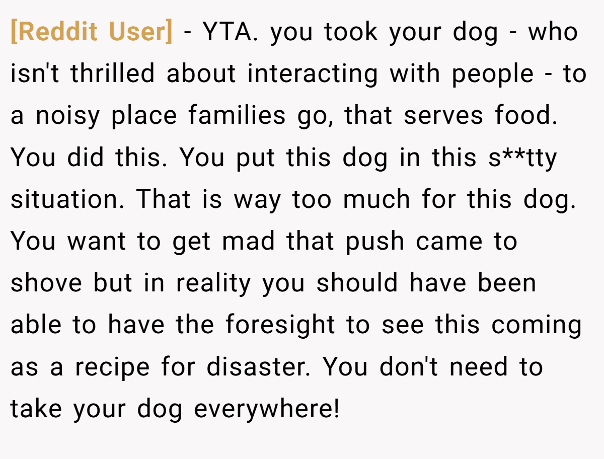 [Reddit User] - YTA. you took your dog - who isn't thrilled about interacting with people - to a noisy place families go, that serves food. You did this. You put this dog in this s**tty situation. That is way too much for this dog. You want to get mad that push came to shove but in reality you should have been able to have the foresight to see this coming as a recipe for disaster. You don't need to take your dog everywhere!
