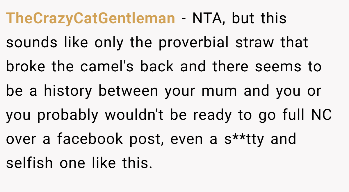 TheCrazyCatGentleman − NTA, but this sounds like only the proverbial straw that broke the camel's back and there seems to be a history between your mum and you or you probably wouldn't be ready to go full NC over a facebook post, even a s**tty and selfish one like this.