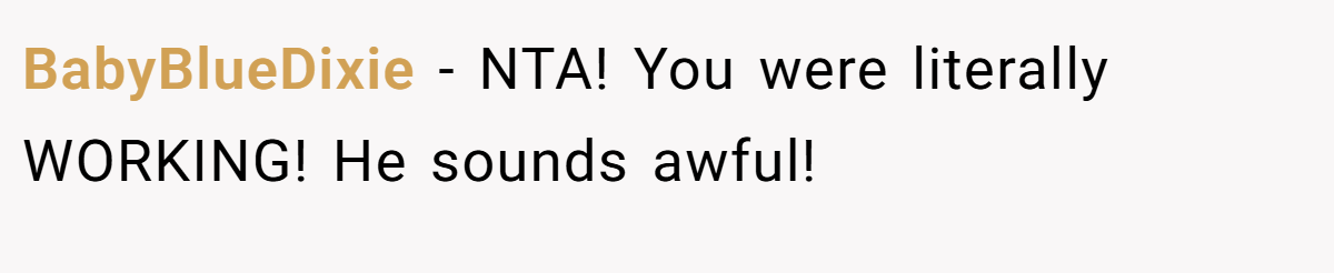 BabyBlueDixie − NTA! You were literally WORKING! He sounds awful!