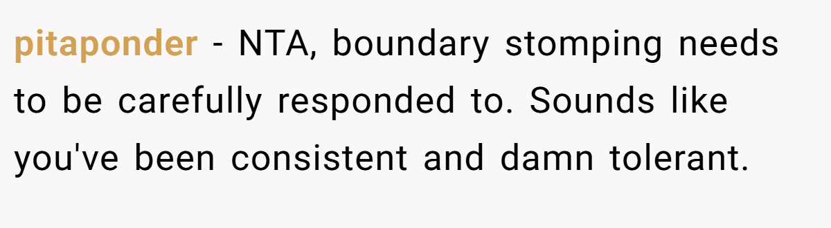 pitaponder - NTA, boundary stomping needs to be carefully responded to. Sounds like you've been consistent and damn tolerant.