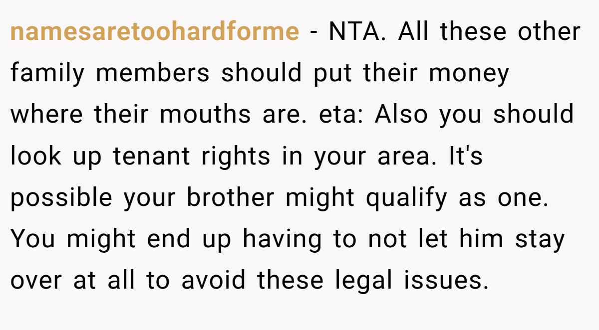 namesaretoohardforme − NTA. All these other family members should put their money where their mouths are. eta: Also you should look up tenant rights in your area. It's possible your brother might qualify as one. You might end up having to not let him stay over at all to avoid these legal issues.