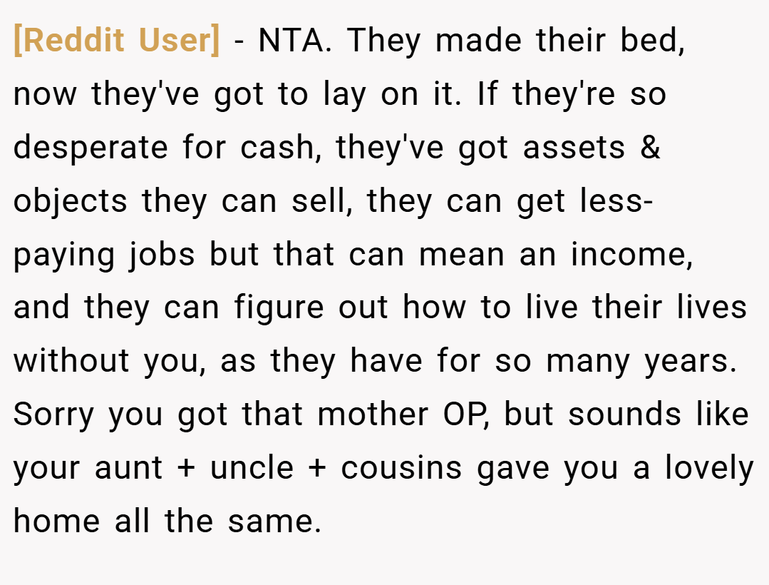 [Reddit User] − NTA. They made their bed, now they've got to lay on it. If they're so desperate for cash, they've got assets & objects they can sell, they can get less-paying jobs but that can mean an income, and they can figure out how to live their lives without you, as they have for so many years. Sorry you got that mother OP, but sounds like your aunt + uncle + cousins gave you a lovely home all the same.