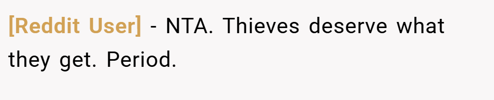 [Reddit User] − NTA. Thieves deserve what they get. Period.