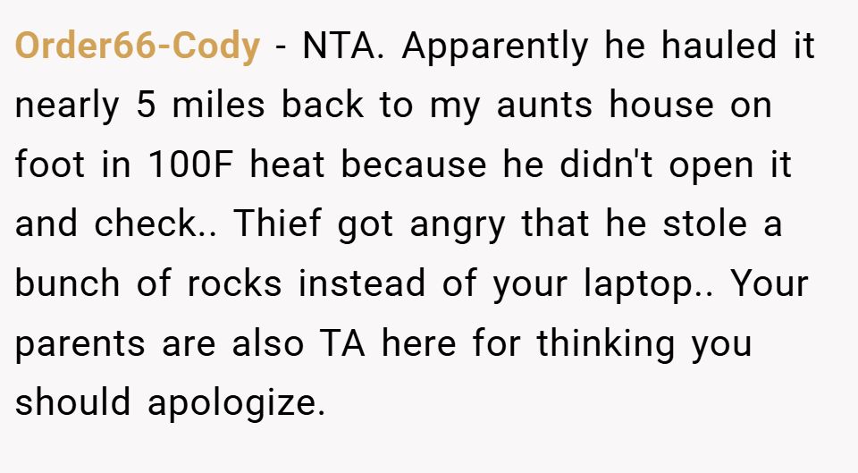 Order66-Cody − NTA. Apparently he hauled it nearly 5 miles back to my aunts house on foot in 100F heat because he didn't open it and check.. Thief got angry that he stole a bunch of rocks instead of your laptop.. Your parents are also TA here for thinking you should apologize.