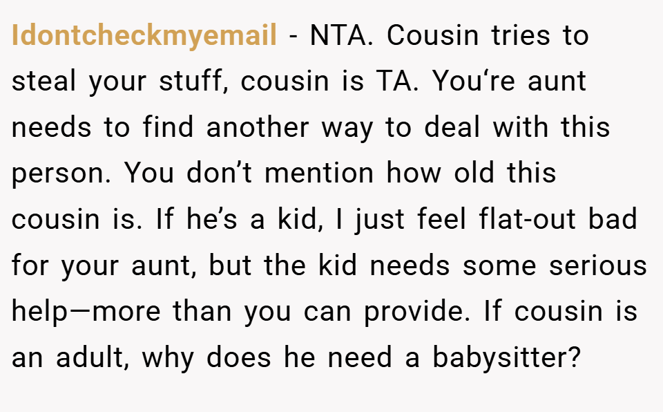 Idontcheckmyemail − NTA. Cousin tries to steal your stuff, cousin is TA. You‘re aunt needs to find another way to deal with this person. You don’t mention how old this cousin is. If he’s a kid, I just feel flat-out bad for your aunt, but the kid needs some serious help—more than you can provide. If cousin is an adult, why does he need a babysitter?