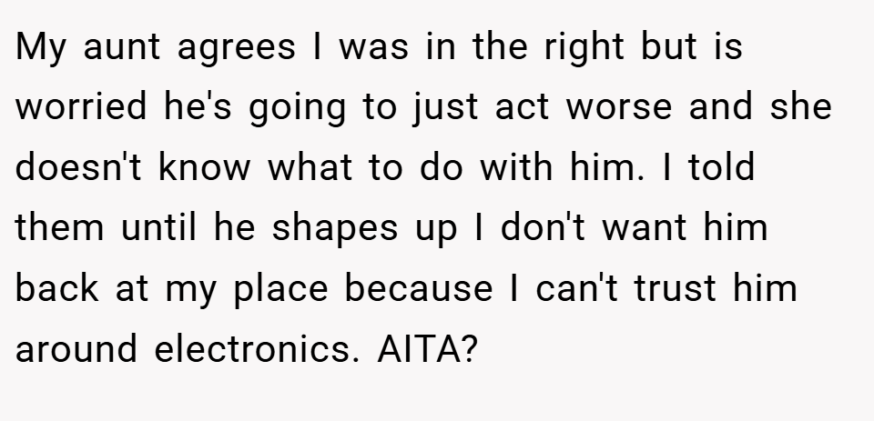My aunt agrees I was in the right but is worried he's going to just act worse and she doesn't know what to do with him. I told them until he shapes up I don't want him back at my place because I can't trust him around electronics. AITA?