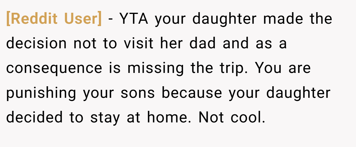 [Reddit User] - YTA your daughter made the decision not to visit her dad and as a consequence is missing the trip. You are punishing your sons because your daughter decided to stay at home. Not cool.