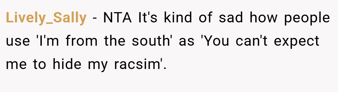 Lively_Sally − NTA It's kind of sad how people use 'I'm from the south' as 'You can't expect me to hide my racsim'.