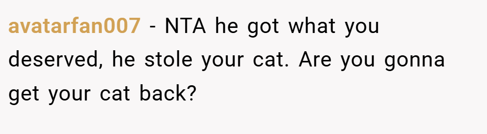 avatarfan007 − NTA he got what you deserved, he stole your cat. Are you gonna get your cat back?