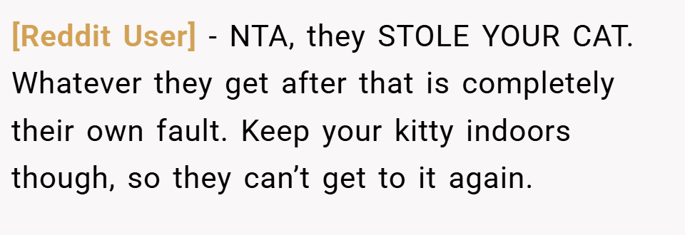 [Reddit User] − NTA, they STOLE YOUR CAT. Whatever they get after that is completely their own fault. Keep your kitty indoors though, so they can’t get to it again.