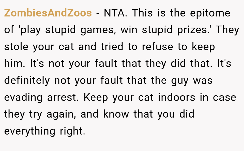 ZombiesAndZoos − NTA. This is the epitome of 'play stupid games, win stupid prizes.' They stole your cat and tried to refuse to keep him. It's not your fault that they did that. It's definitely not your fault that the guy was evading arrest. Keep your cat indoors in case they try again, and know that you did everything right.