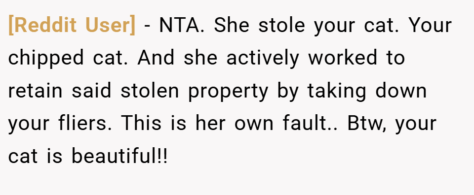 [Reddit User] − NTA. She stole your cat. Your chipped cat. And she actively worked to retain said stolen property by taking down your fliers. This is her own fault.. Btw, your cat is beautiful!!