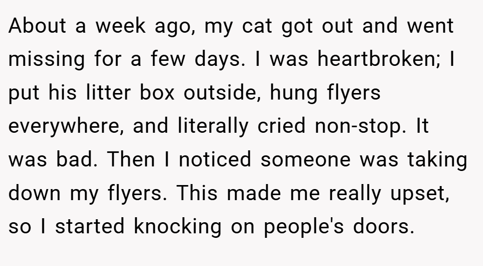 About a week ago, my cat got out and went missing for a few days. I was heartbroken; I put his litter box outside, hung flyers everywhere, and literally cried non-stop. It was bad. Then I noticed someone was taking down my flyers. This made me really upset, so I started knocking on people's doors.