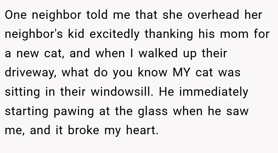 One neighbor told me that she overhead her neighbor's kid excitedly thanking his mom for a new cat, and when I walked up their driveway, what do you know MY cat was sitting in their windowsill. He immediately starting pawing at the glass when he saw me, and it broke my heart.