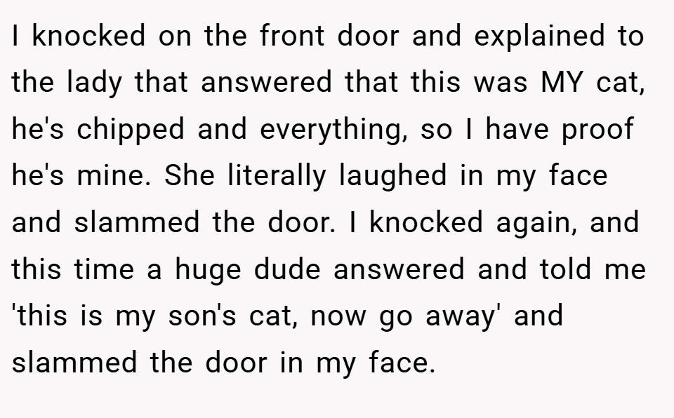 I knocked on the front door and explained to the lady that answered that this was MY cat, he's chipped and everything, so I have proof he's mine. She literally laughed in my face and slammed the door. I knocked again, and this time a huge dude answered and told me 'this is my son's cat, now go away' and slammed the door in my face.