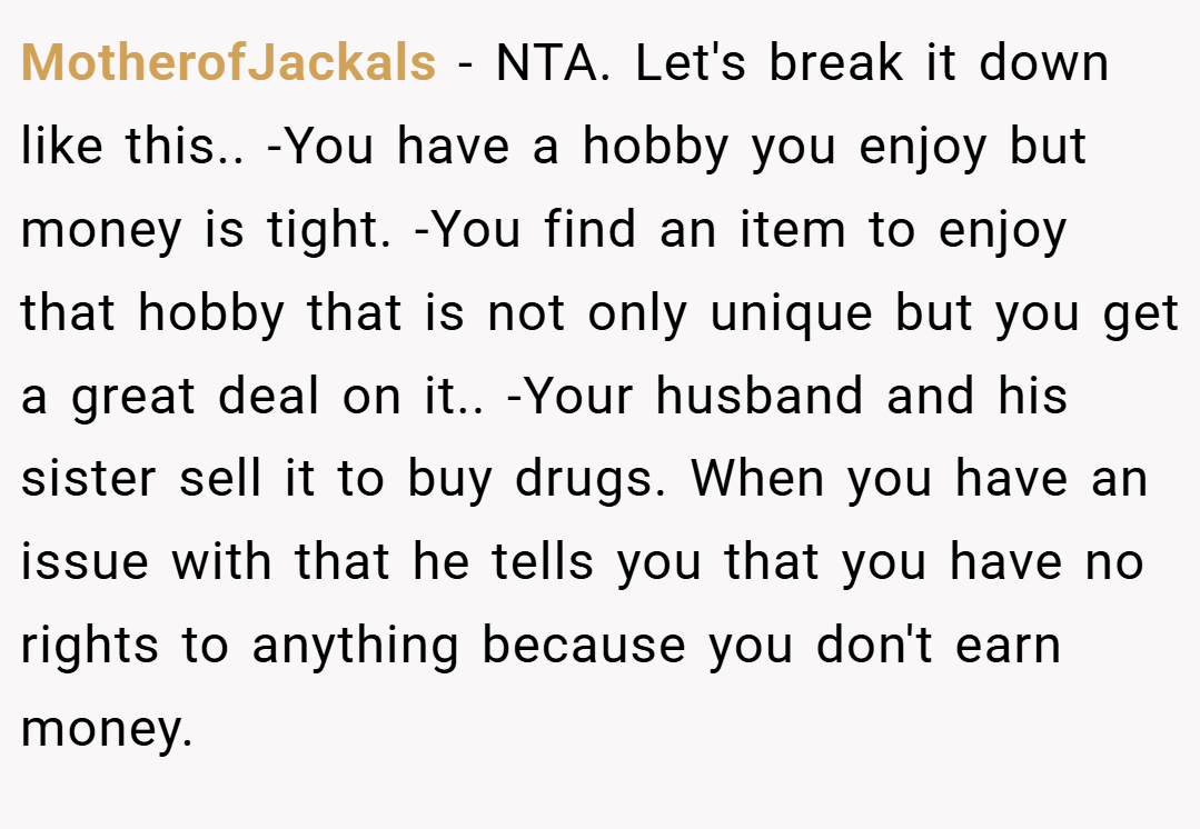 MotherofJackals − NTA. Let's break it down like this.. -You have a hobby you enjoy but money is tight. -You find an item to enjoy that hobby that is not only unique but you get a great deal on it.. -Your husband and his sister sell it to buy drugs. When you have an issue with that he tells you that you have no rights to anything because you don't earn money.