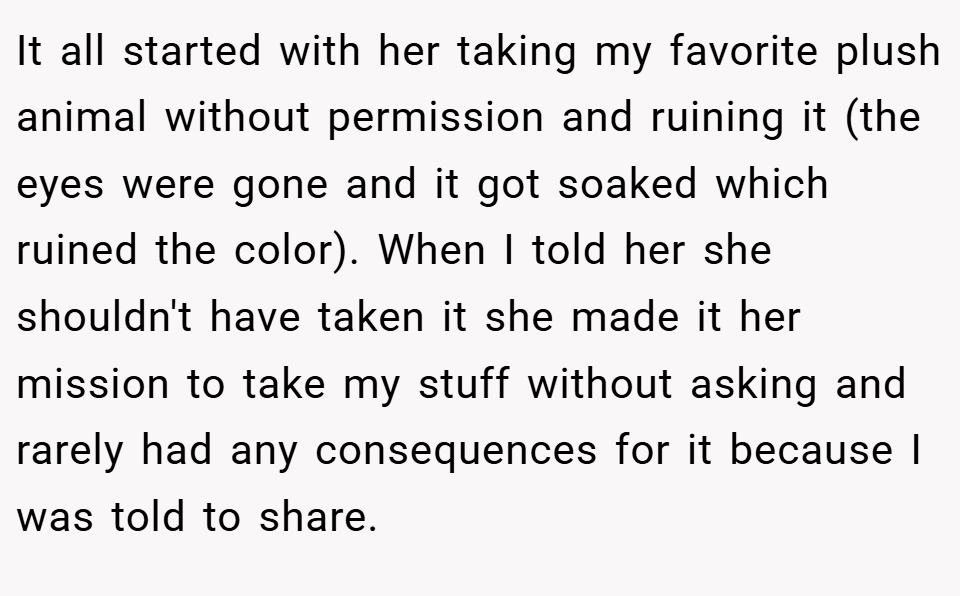 It all started with her taking my favorite plush animal without permission and ruining it (the eyes were gone and it got soaked which ruined the color). When I told her she shouldn't have taken it she made it her mission to take my stuff without asking and rarely had any consequences for it because I was told to share.
