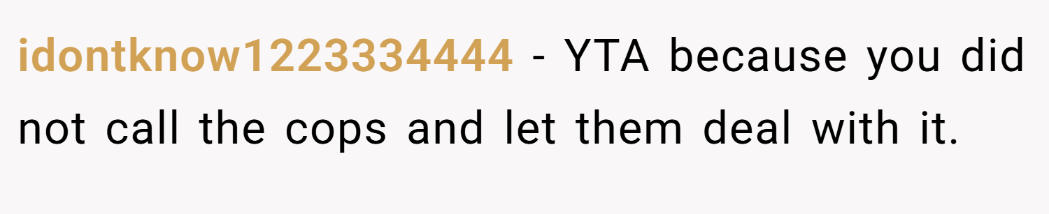 idontknow1223334444 − YTA because you did not call the cops and let them deal with it.