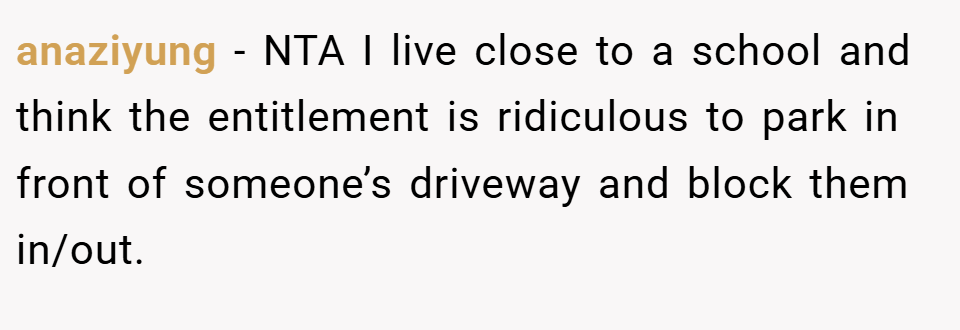 anaziyung − NTA I live close to a school and think the entitlement is ridiculous to park in front of someone’s driveway and block them in/out.