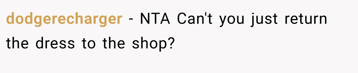 dodgerecharger - NTA Can't you just return the dress to the shop?
