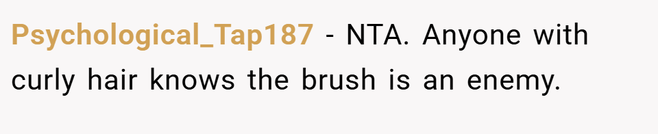 Psychological_Tap187 − NTA. Anyone with curly hair knows the brush is an enemy.