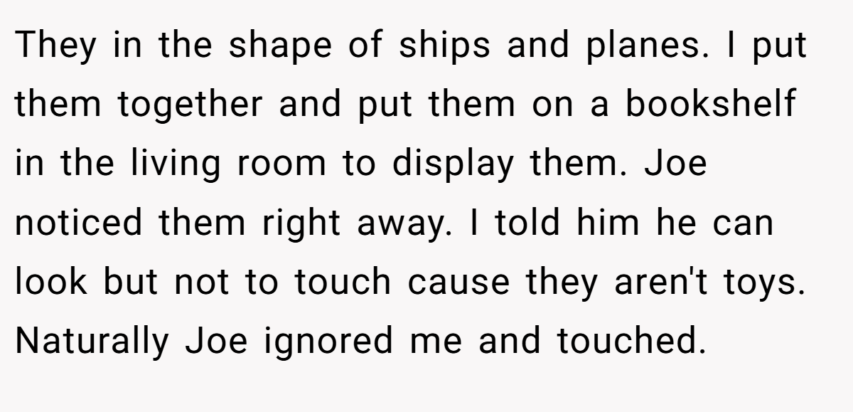 They in the shape of ships and planes. I put them together and put them on a bookshelf in the living room to display them. Joe noticed them right away. I told him he can look but not to touch cause they aren't toys. Naturally Joe ignored me and touched.