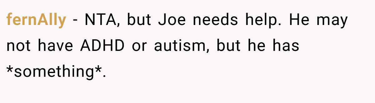 fernAlly − NTA, but Joe needs help. He may not have ADHD or autism, but he has *something*.