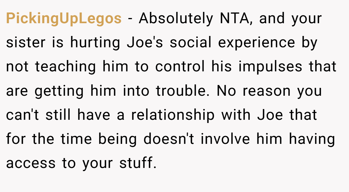 PickingUpLegos − Absolutely NTA, and your sister is hurting Joe's social experience by not teaching him to control his impulses that are getting him into trouble. No reason you can't still have a relationship with Joe that for the time being doesn't involve him having access to your stuff.