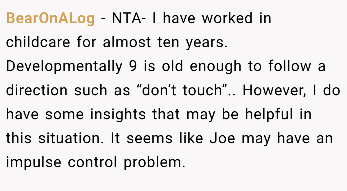 BearOnALog − NTA- I have worked in childcare for almost ten years. Developmentally 9 is old enough to follow a direction such as “don’t touch”.. However, I do have some insights that may be helpful in this situation. It seems like Joe may have an impulse control problem.
