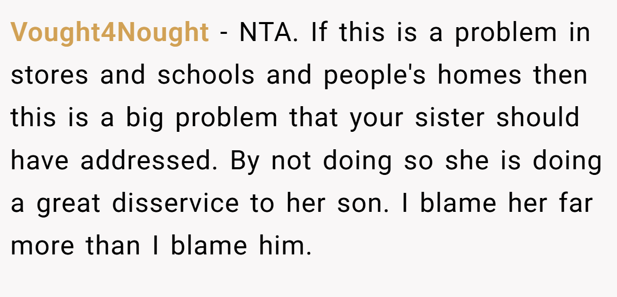 Vought4Nought − NTA. If this is a problem in stores and schools and people's homes then this is a big problem that your sister should have addressed. By not doing so she is doing a great disservice to her son. I blame her far more than I blame him.