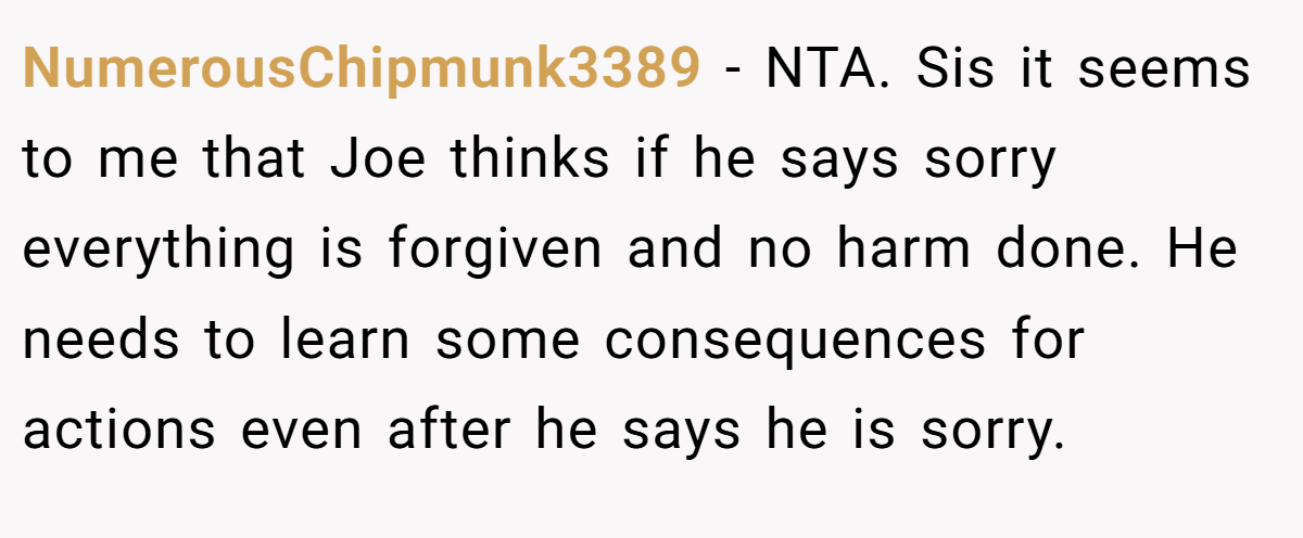 NumerousChipmunk3389 − NTA. Sis it seems to me that Joe thinks if he says sorry everything is forgiven and no harm done. He needs to learn some consequences for actions even after he says he is sorry.