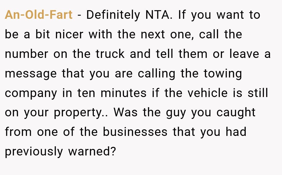 An-Old-Fart − Definitely NTA. If you want to be a bit nicer with the next one, call the number on the truck and tell them or leave a message that you are calling the towing company in ten minutes if the vehicle is still on your property.. Was the guy you caught from one of the businesses that you had previously warned?