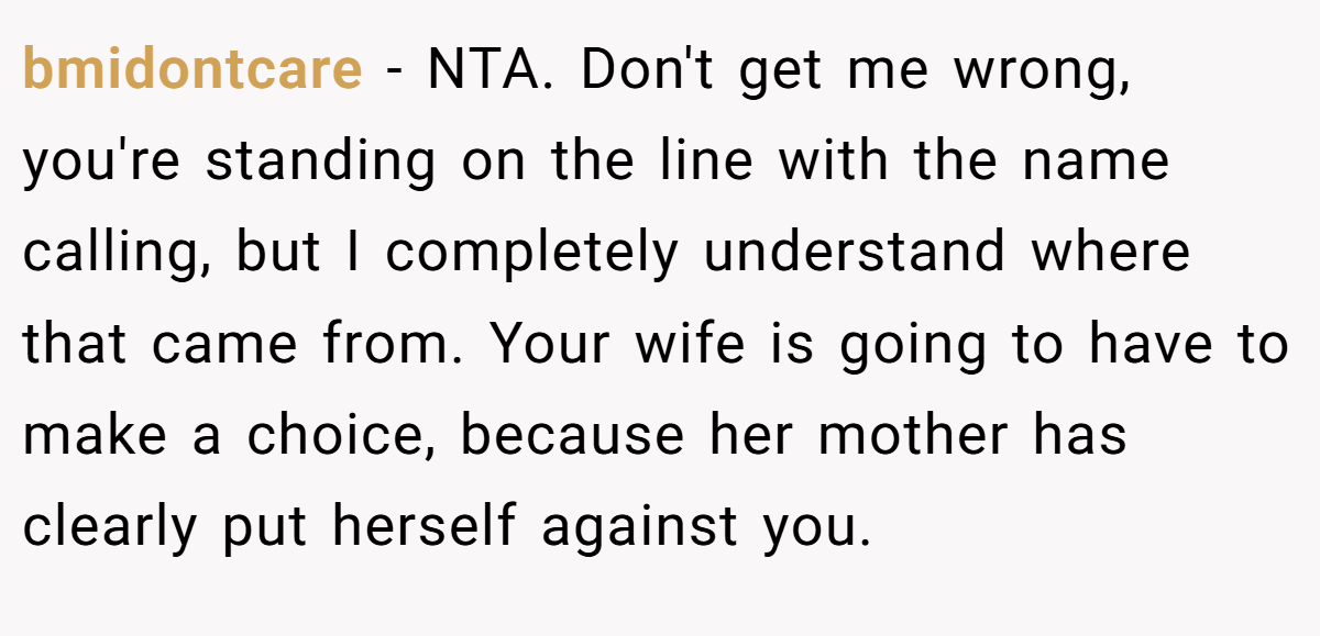 bmidontcare - NTA. Don't get me wrong, you're standing on the line with the name calling, but I completely understand where that came from. Your wife is going to have to make a choice, because her mother has clearly put herself against you.