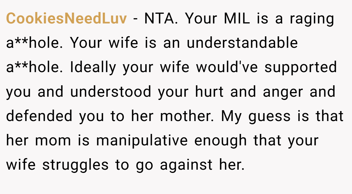 CookiesNeedLuv - NTA. Your MIL is a raging a**hole. Your wife is an understandable a**hole. Ideally your wife would've supported you and understood your hurt and anger and defended you to her mother. My guess is that her mom is manipulative enough that your wife struggles to go against her.