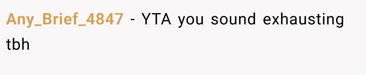 Any_Brief_4847 − YTA you sound exhausting tbh