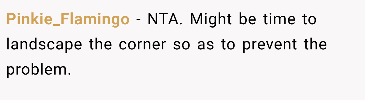 Pinkie_Flamingo - NTA. Might be time to landscape the corner so as to prevent the problem.