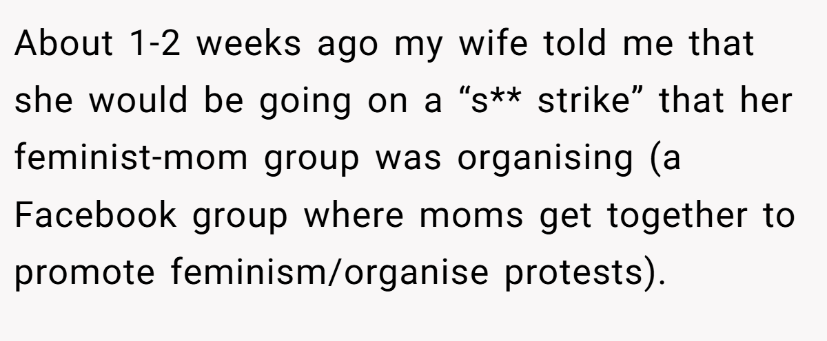 About 1-2 weeks ago my wife told me that she would be going on a “s** strike” that her feminist-mom group was organising (a Facebook group where moms get together to promote feminism/organise protests).