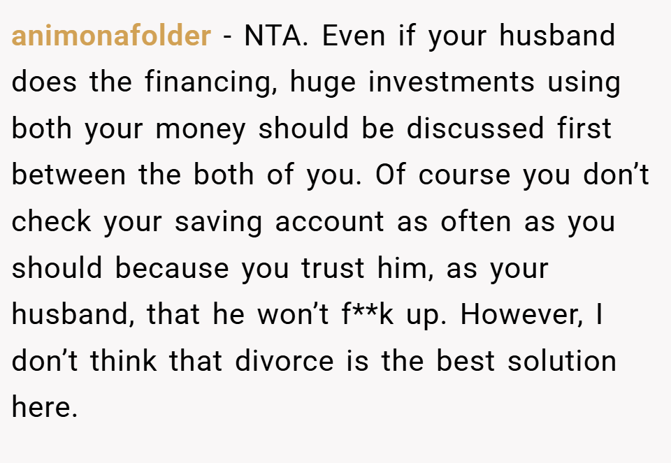 animonafolder − NTA. Even if your husband does the financing, huge investments using both your money should be discussed first between the both of you. Of course you don’t check your saving account as often as you should because you trust him, as your husband, that he won’t f**k up. However, I don’t think that divorce is the best solution here.