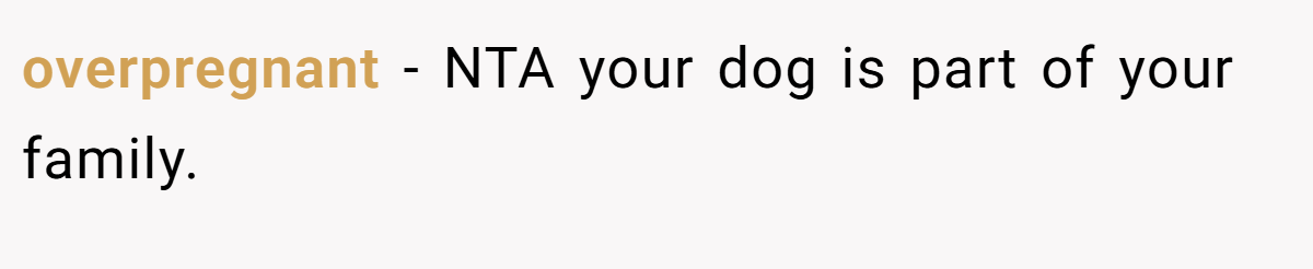 overpregnant - NTA your dog is part of your family.