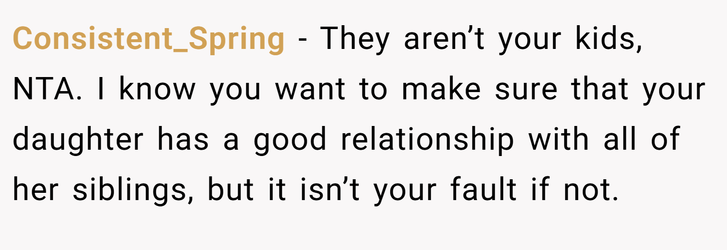 Consistent_Spring − They aren’t your kids, NTA. I know you want to make sure that your daughter has a good relationship with all of her siblings, but it isn’t your fault if not.