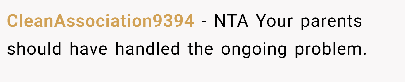 CleanAssociation9394 - NTA Your parents should have handled the ongoing problem.