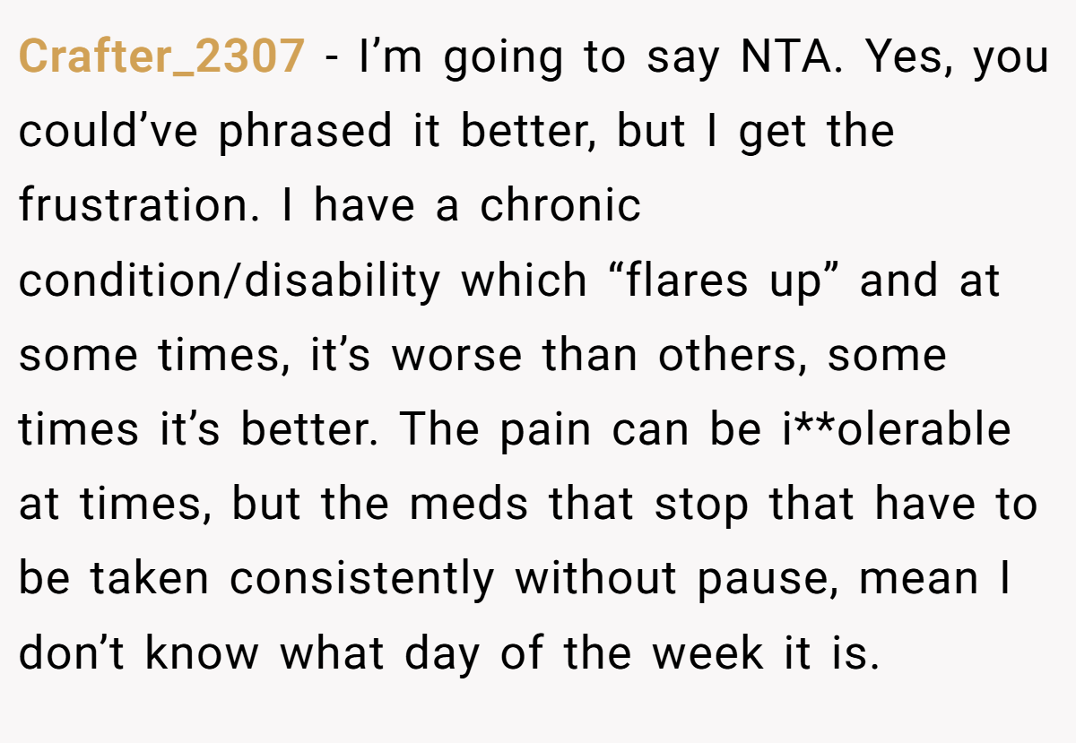 Crafter_2307 − I’m going to say NTA. Yes, you could’ve phrased it better, but I get the frustration. I have a chronic condition/disability which “flares up” and at some times, it’s worse than others, some times it’s better. The pain can be i**olerable at times, but the meds that stop that have to be taken consistently without pause, mean I don’t know what day of the week it is.
